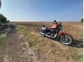 HARLEY-DAVIDSON SPORTSTER 883 R 2012/10 - 9