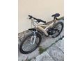 BICYCLE 2010 - 2