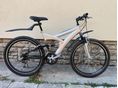 BICYCLE 2010 - 3