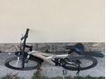 BICYCLE 2010 - 4