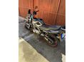 SUZUKI GS 500 E 2007/11 - 2