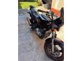 SUZUKI GS 500 E 2007/11 - 4