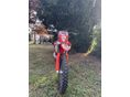 BETAMOTOR RR 250 2016/1 - 5
