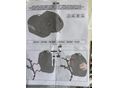 BMW G 310 GS 2021/9 - 14