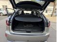 LEXUS RX 2017/10 - 11
