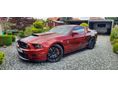 FORD MUSTANG Fastback 5.0 V8 GT