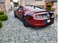FORD MUSTANG 2014/7 - 10