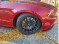 FORD MUSTANG 2014/7 - 11