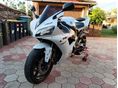 YAMAHA YZF R1 2002/11 - 3