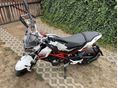 BENELLI TNT 125 2020/1 - 5