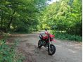 HONDA FMX 650 2005/3 - 2
