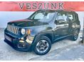 JEEP RENEGADE 2019/7 - 1