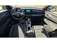 FIAT 600 2026 - 6