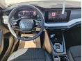 SKODA OCTAVIA 2026/7 - 6
