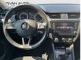 SKODA OCTAVIA 2017/4 - 8