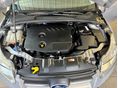 FORD FOCUS 2014/10 - 12