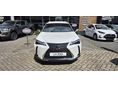 LEXUS UX 300h Business Edition Tech e-CVT