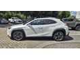 LEXUS UX 2025/8 - 6