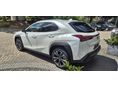 LEXUS UX 2025/8 - 7