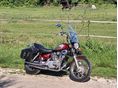 YAMAHA XV 250 (VIRAGO) 1995/5 - 5