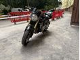 HONDA CB 600 F (HORNET) 2006 - 5