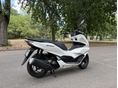 HONDA PCX 2023/5 - 2