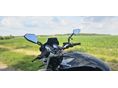 HONDA CB 600 F (HORNET) 2003/4 - 2