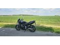 HONDA CB 600 F (HORNET) 2003/4 - 3