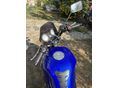 HONDA CBF 500 2005/10 - 6