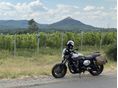 YAMAHA XJR 1300 2015 - 3