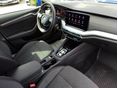 SKODA OCTAVIA 2024/2 - 8