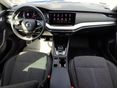 SKODA OCTAVIA 2024/2 - 9