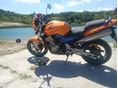 HONDA CB 900 F (HORNET) 2003 - 3