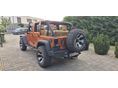 JEEP WRANGLER 2010/10 - 3