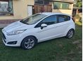 FORD FIESTA 2016/3 - 5