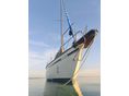 BALATON 31