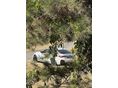 BMW I4 2022/9 - 5