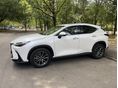LEXUS NX 2023/3 - 2