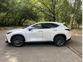 LEXUS NX 2023/3 - 3