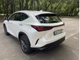 LEXUS NX 2023/3 - 4