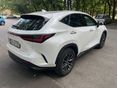 LEXUS NX 2023/3 - 6
