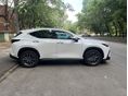 LEXUS NX 2023/3 - 7