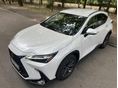LEXUS NX 2023/3 - 10