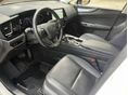LEXUS NX 2023/3 - 12