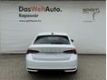 SKODA OCTAVIA 2026/7 - 5