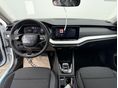SKODA OCTAVIA 2026/7 - 7