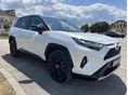 TOYOTA RAV 4 2023/6 - 6