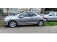 PEUGEOT 207 2007/11 - 2