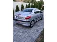 PEUGEOT 206 2004/10 - 3