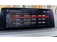 BMW 530 2018/9 - 13